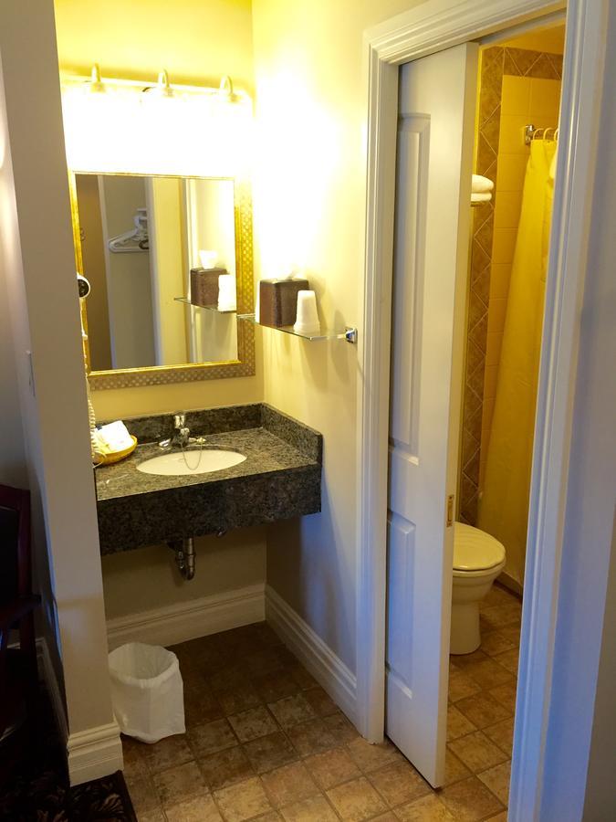 The Queen'S Inn Picton Bagian luar foto